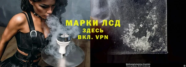 дурь Бородино