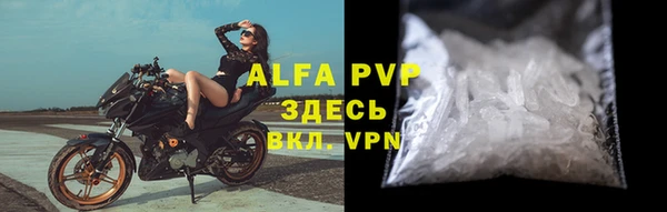 дурь Бородино