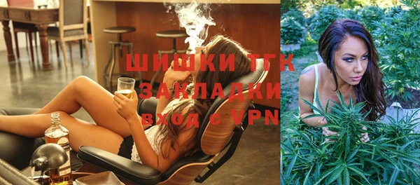 дурь Бородино