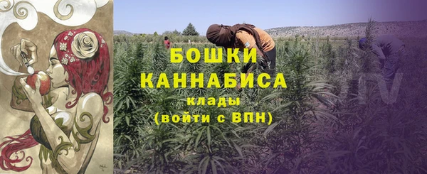 дурь Бородино